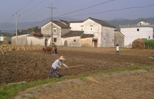 农村土地迎来大规模归并，一户一田不是“一刀切”，自愿为前提