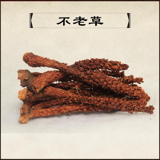 不老草长白山不老草草苁蓉列当回春草批发一捆20支质量好粗