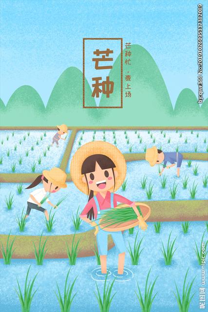 芒种节气的文案