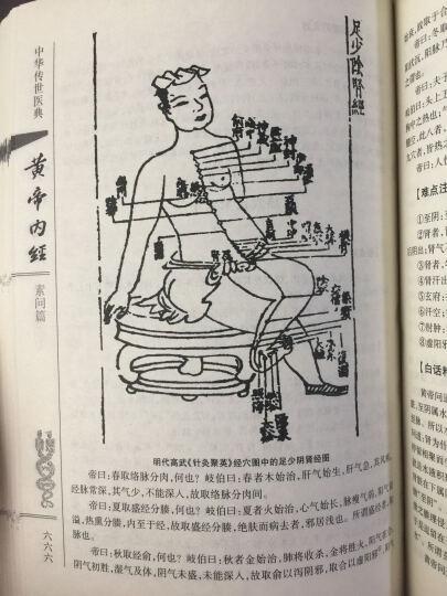 正版黄帝内经素问白话解太素黄帝内经图解黄帝内经全集皇帝内经
