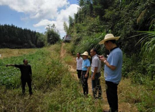 延平国土分局组织人员对南山镇折竹村2017年高标准农田建设项目进行