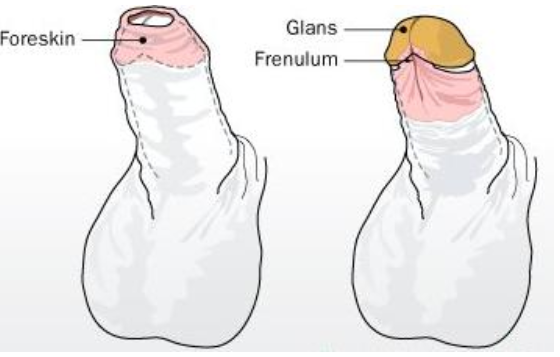 怀孕期间的困难