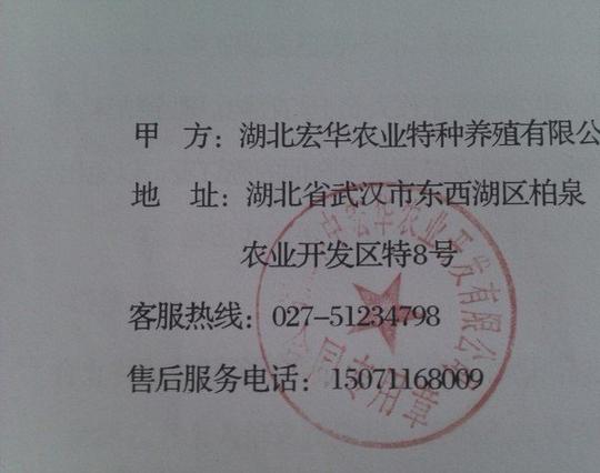 武汉养殖冬虫夏草骗局揭露