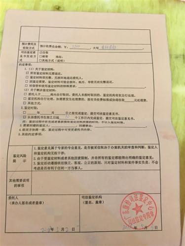 买卖婴儿背后亲子鉴定造假调查怎么回事