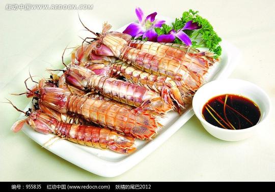 免费素材图片素材餐饮美食中华美食皮皮虾图片