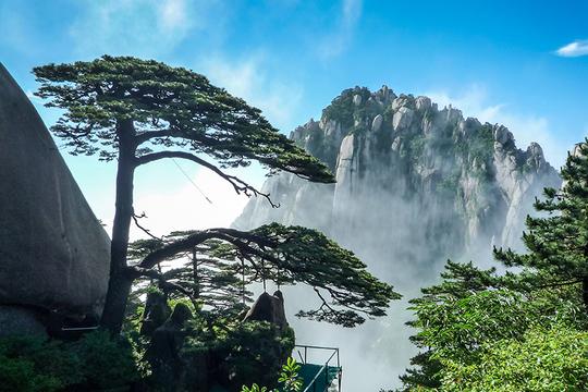 黄山迎客松图片素材