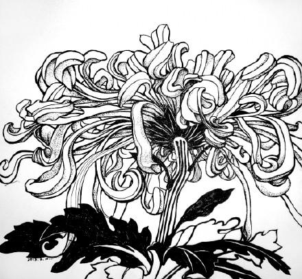 标签:黑白画线描花卉艺术2013