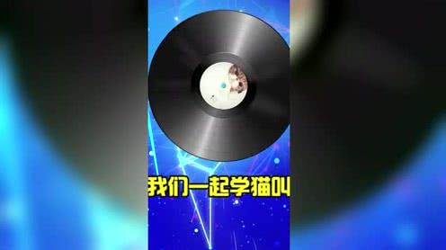 十二星座抖音主题曲!你的铃声换好了吗!