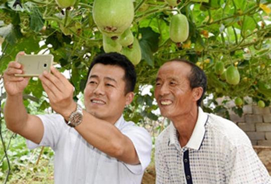 业务经理弃高薪回临沂创业苹果苦瓜每斤卖8块