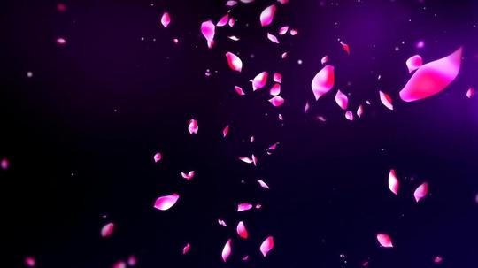 浪漫花瓣雨动态视频素材