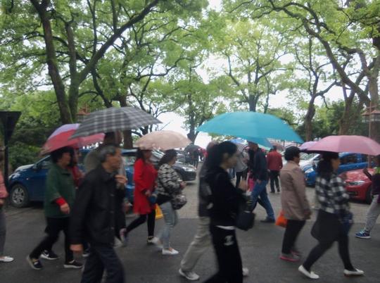 今年春夏多雨水,沿街店中生意好.