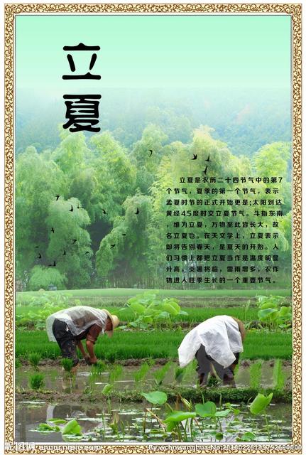 立夏节气的句子