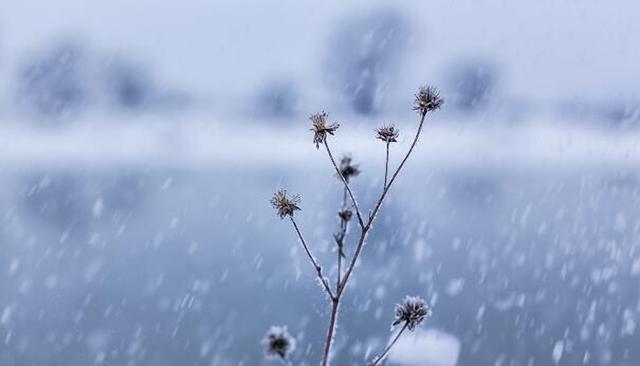 大雪节气文案怎么写