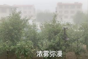 浓雾弥漫什么意思 128驾考网