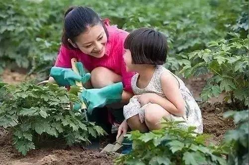 实事衢州一80后美女大学生竟然放弃30万年薪的外企工作回村当菜农原因是