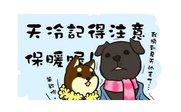 形容特别冷的句子,比喻寒冷的句子?-语录网