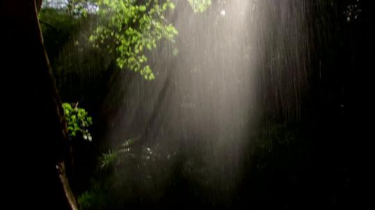 下雨闪电森林大雨水花雨花_1920x1080_高清视频素材