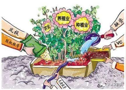 政务正文第五,农业创业项目要有战略眼光的高瞻性.