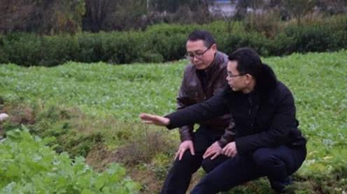 明年想留在农村创业的农民，不妨试试这3个职业，比外出打工强!
