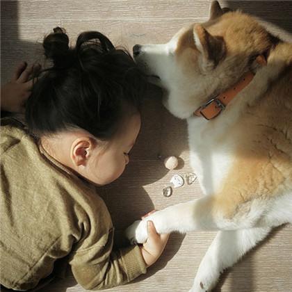 小萝莉和汪星人的成长生活和纯真友谊,绝对可以让你温暖一整天
