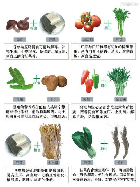 孕妇不能吃哪些食物水果