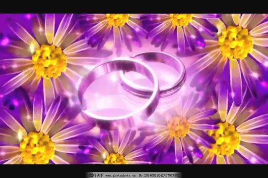 花纹背景素材下载电子相册素材多媒体设计非线性编辑高清晰