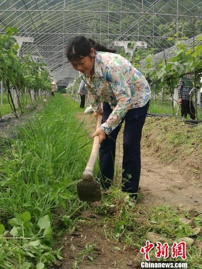 赣州市花田小镇-江西赣州杨仙岭休闲生态农业创业园是一个集特色种养基地、特色农产