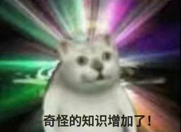  神经病猫搞笑QQ幽默表情包