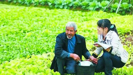 农村大学生村官出路在哪里?农民的期盼，父母的嘱托