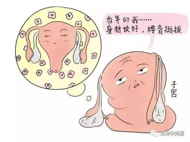 产后子宫按摩手法