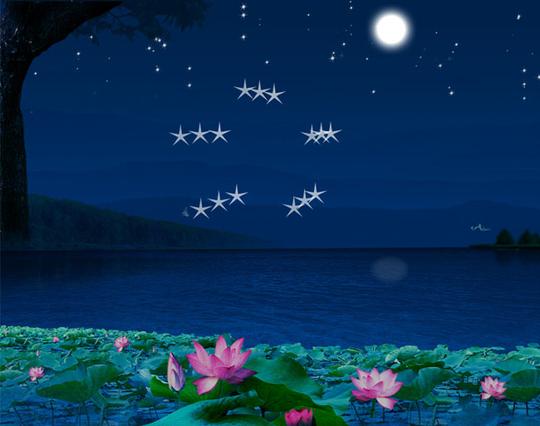荷塘月色flash星星动画flash动画素材下载