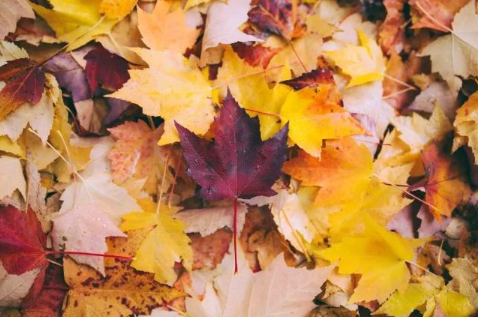 10月第一天怎么发说说