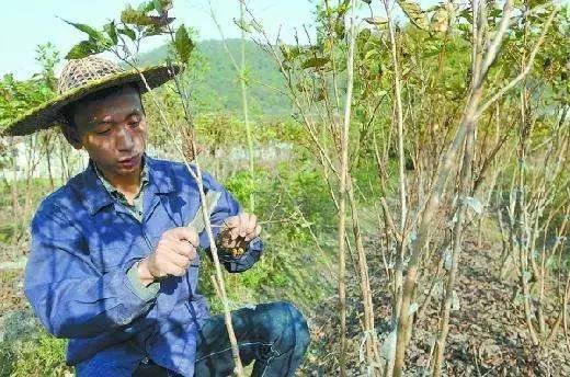 农村创业创新项目创意大赛来了,你家的项目有希望吗?