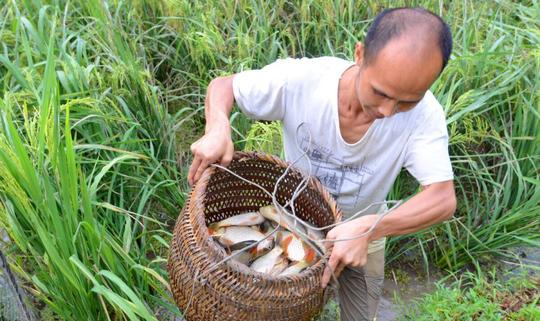 养殖场最好的小生意(农村前景好利润高的养殖项目)