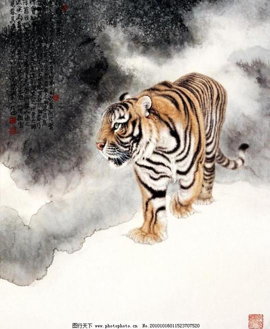 踏雪觅春霸气彩墨画国画艺术绘画绘画书法老虎猛兽踏雪觅春