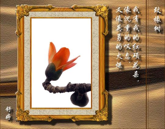 致橡树-文随图舞-唯美贴图-第一设计网-红动