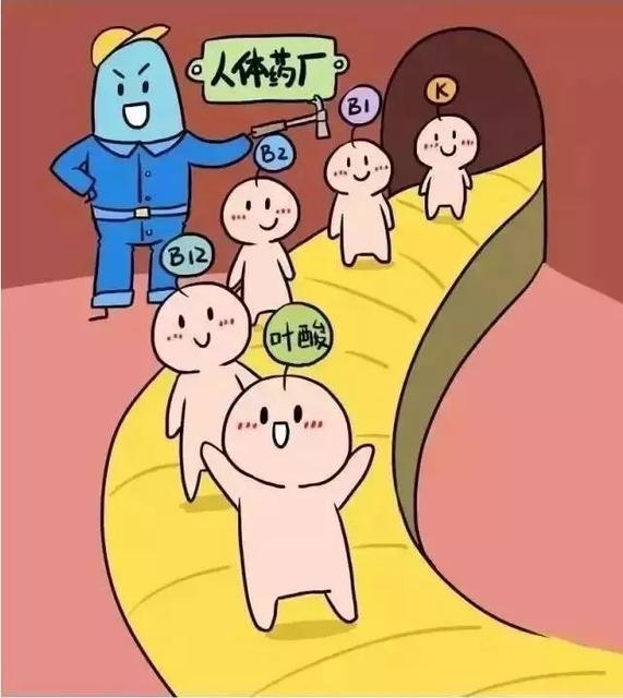 小儿肠道菌群怎样检测