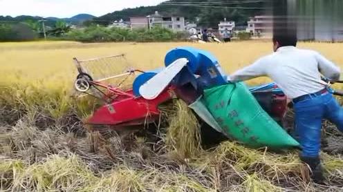 国产迷你小型收割机，农村人了解一下!大家觉得实用吗?