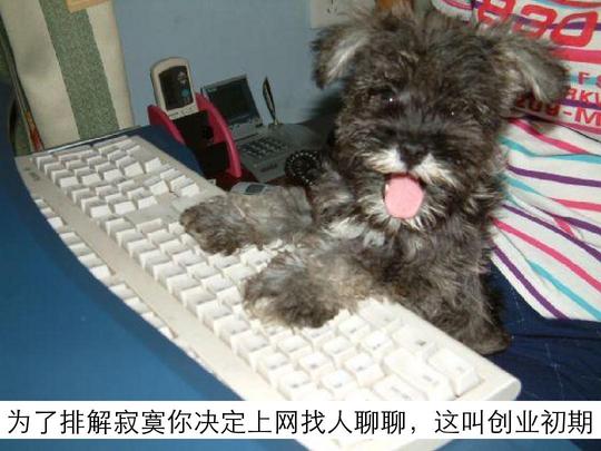 为了排解寂寞你决定上网找人聊聊,这叫创业初期