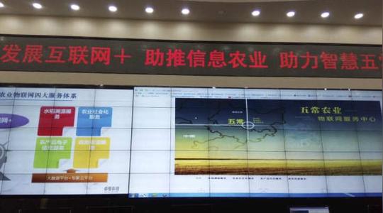 通过创业基地,五常市政府将了解掌握创业主体的相关情况,精准投放