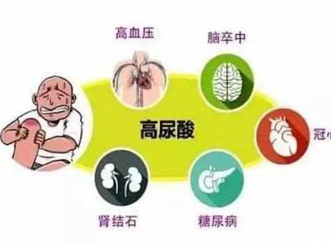 高血压吃什么药最好降压