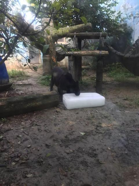 防治宝宝中暑