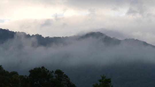 4k山脉山峰云雾茶叶宣传片视频素材_3840x2160_高清