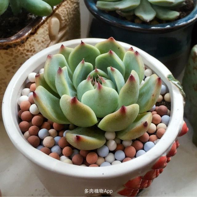 宝宝身体晒伤了可以怎么修复