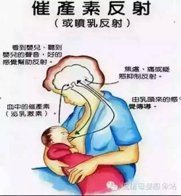 婴儿睡着了才吃奶有什么危害