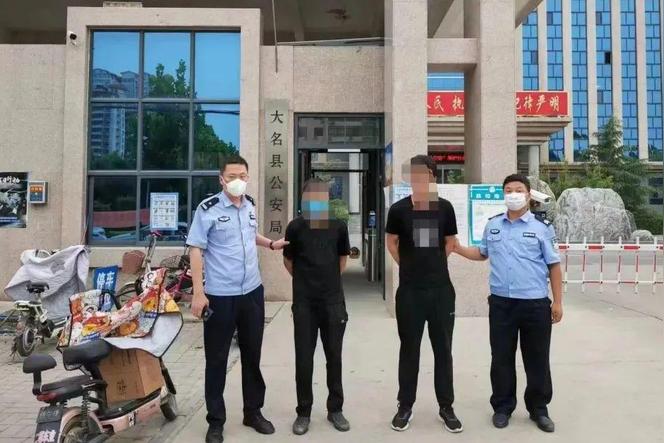 爬墙虎保护等级