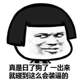 我真是日了狗了搞笑表情包