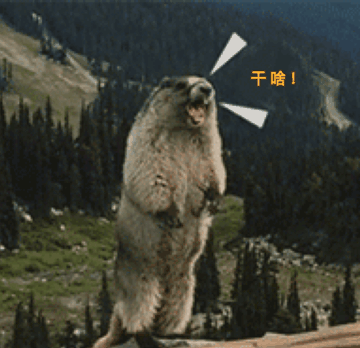尖叫土拨鼠表情包抽搐gif动图