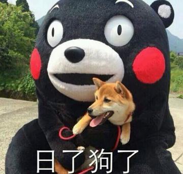 我真是日了狗了搞笑表情包