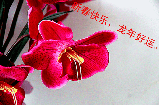承蒙大家关照,借此,向诸位恭候新春,愿事事顺心,好人好梦.